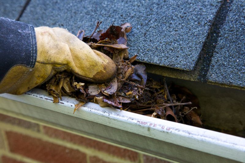 Removing Debris from Gutters